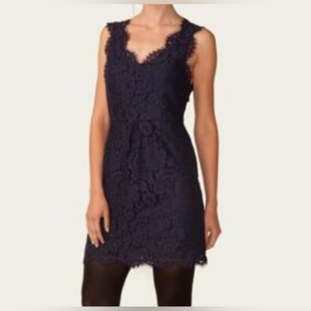Joie Rori Floral lace dress